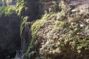 春节爬山去哪里好玩(春节爬什么山)