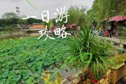 广州自驾一日游哪里好玩(广州自驾游一日游攻略)