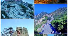 10月山东哪里最好玩(10月份山东省内最佳旅游地)