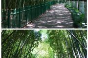 高桥哪里热闹好玩(高桥哪里热闹好玩又便宜)