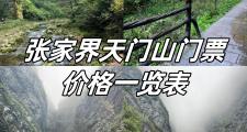 张家界门票包含哪些景点(张家界景点门票是多少)