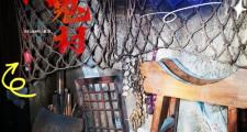 青岛鬼屋哪里好玩最新(青岛鬼屋地址)