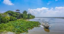 离巢湖最近有什么景点(离巢湖最近有什么景点吗)