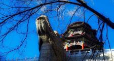 靖远有什么景点值得去玩(靖远有哪些景点)