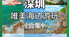 深圳去海边哪里最好玩(深圳去海边哪里比较好玩)