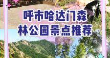 呼市公园有哪些景点(呼市公园分布图)