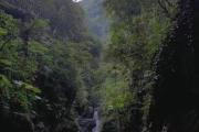 八乡山有什么景点(八乡山生态旅游风景区门票多少钱)