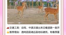 靖远有什么景点值得去玩(靖远县有什么旅游景点)
