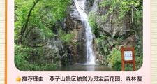 灵宝有什么景点值得去(灵宝值得去的地方)