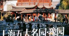 豫园商城有什么景点吗(豫园商城有什么好吃的)