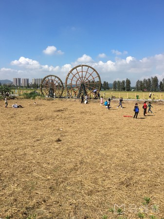 坦洲走什么景点好玩(坦洲有什么地方好玩)
