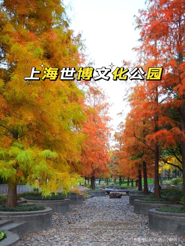 上海哪些公园不收费景点(上海哪些公园不收费景点好玩)