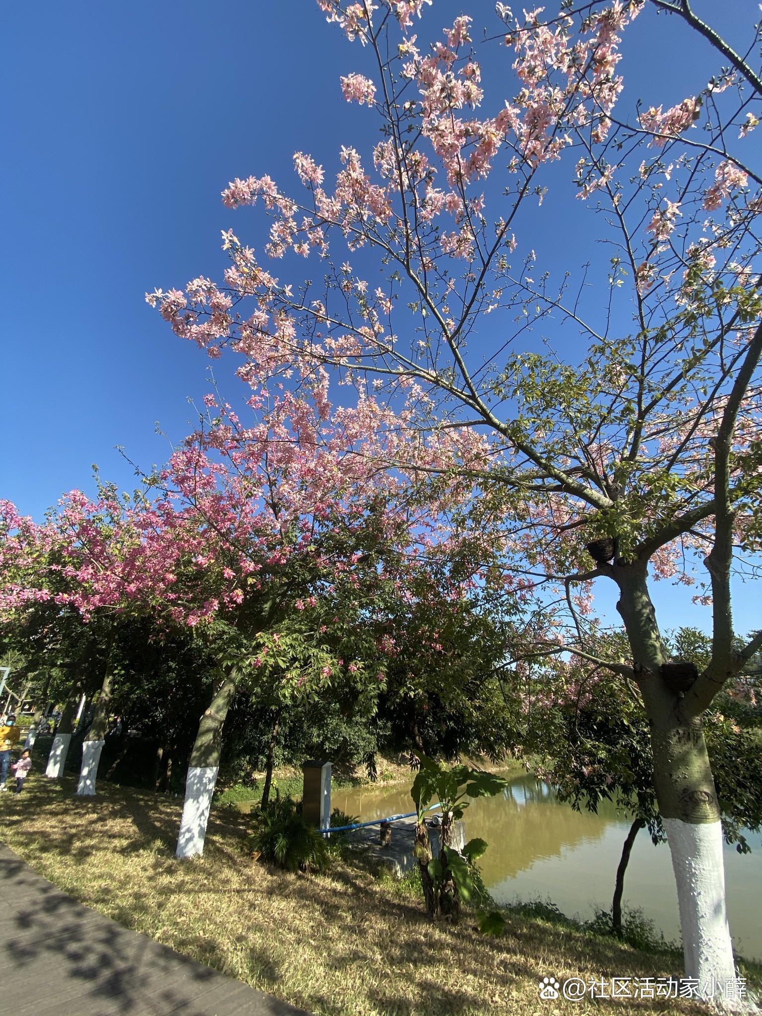 广州自驾一日游哪里好玩(广州自驾游一日游攻略)
