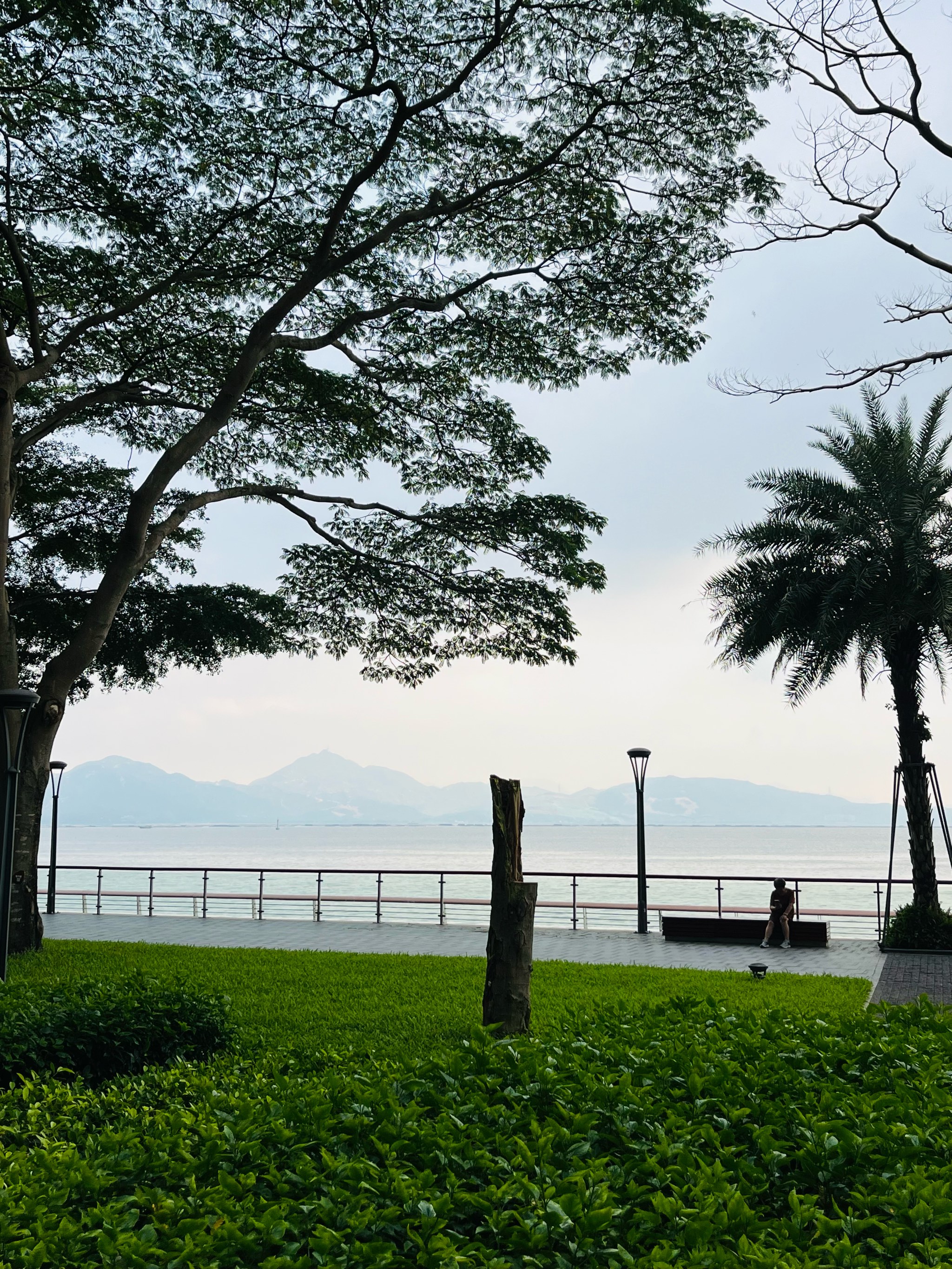 深圳去海边哪里最好玩(深圳去海边哪里好玩些呢)