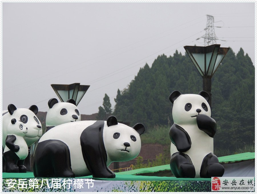 熊猫吃柠檬的景点叫什么(熊猫吃的食物是什么?)