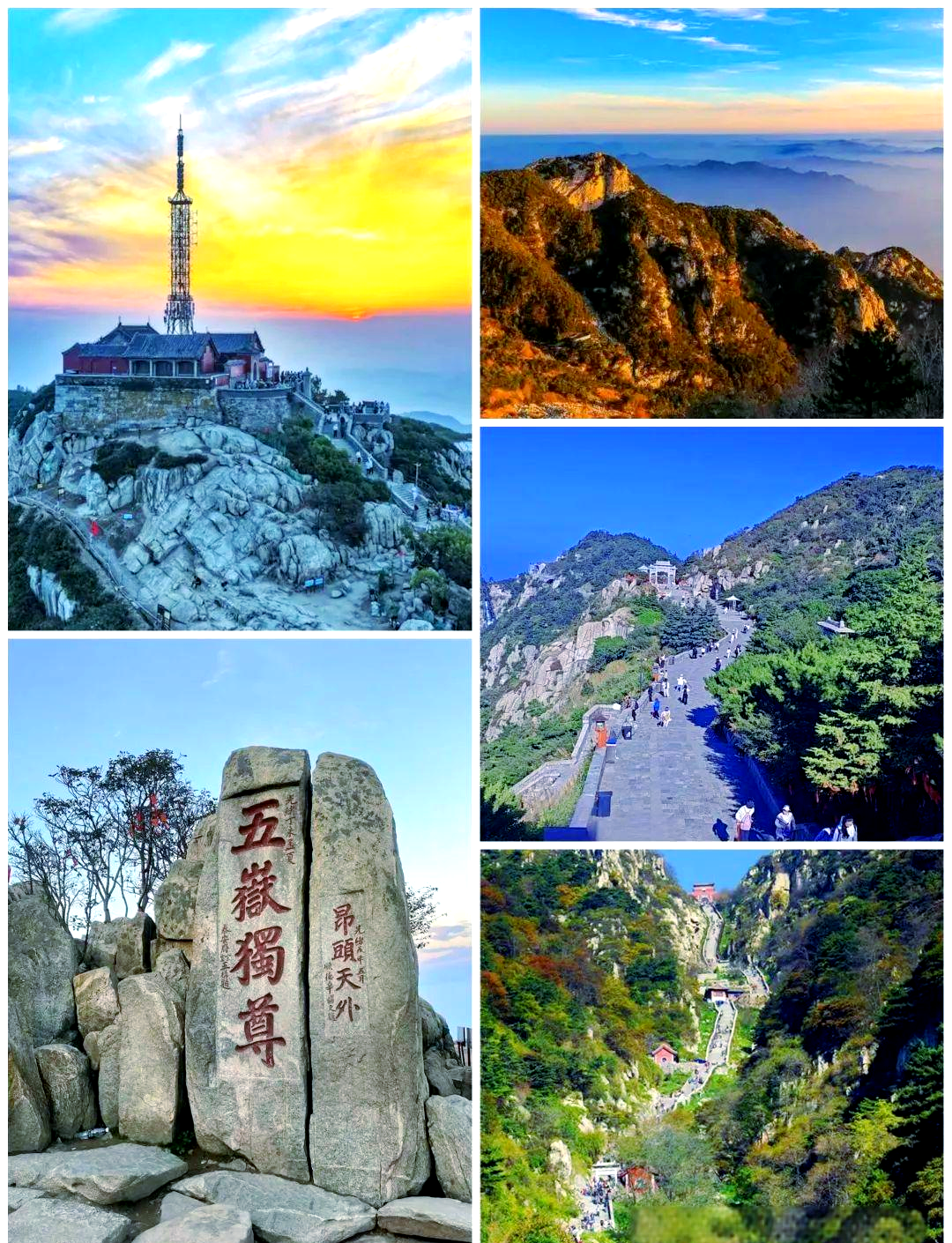 10月山东哪里最好玩(10月份山东省内最佳旅游地)