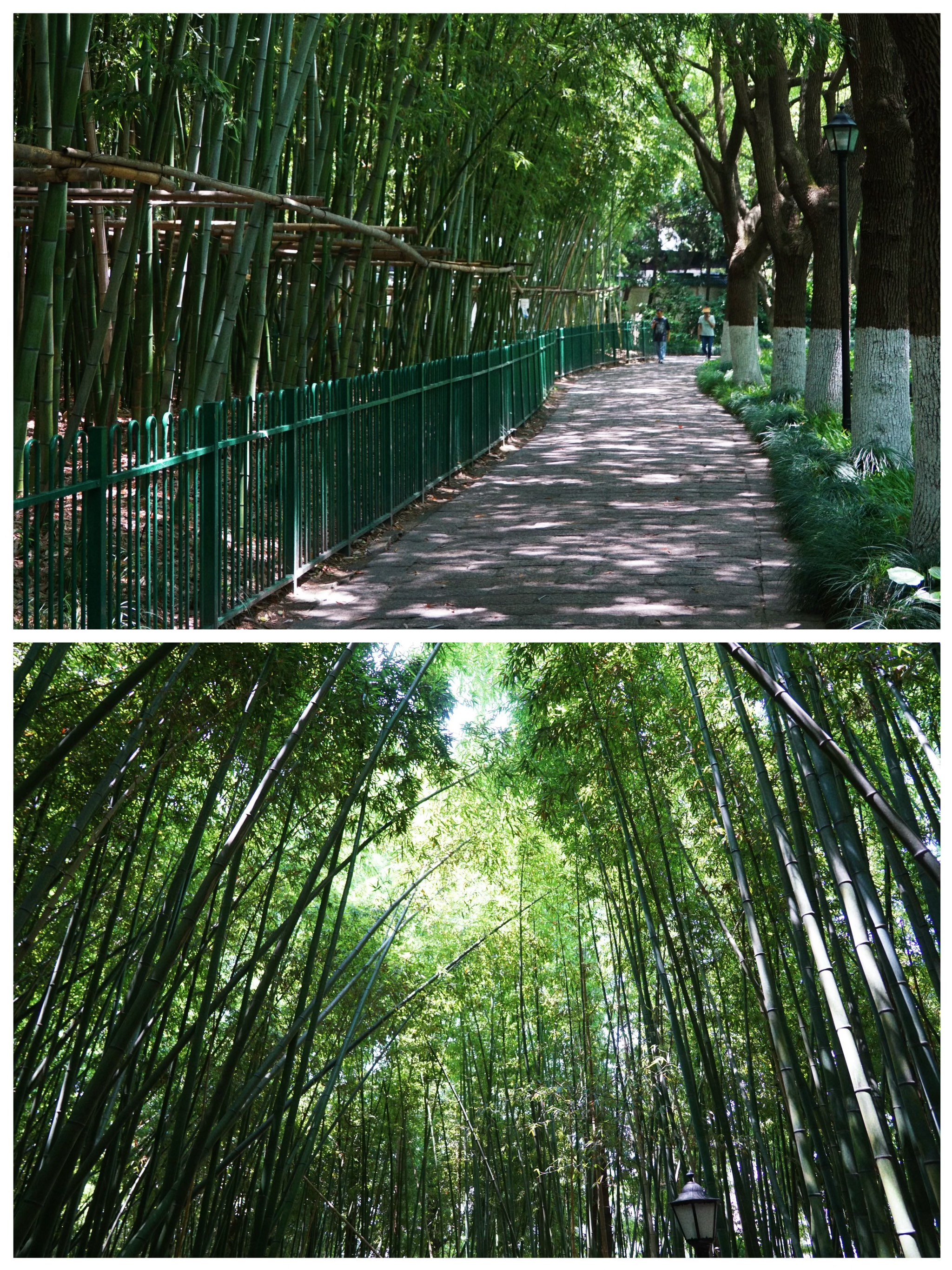高桥哪里热闹好玩(高桥哪里热闹好玩又便宜)