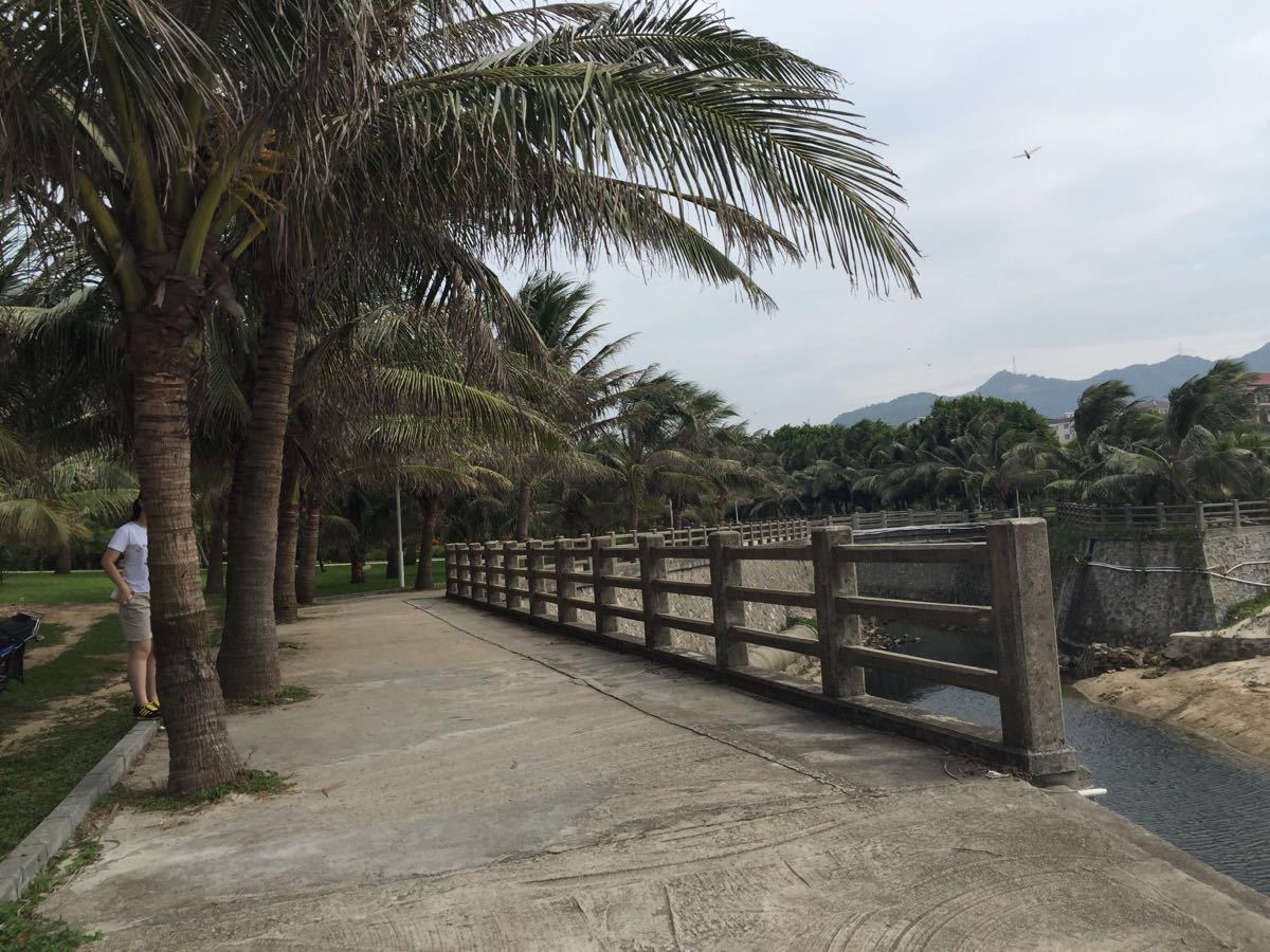 王府州有什么景点(王府洲景区)
