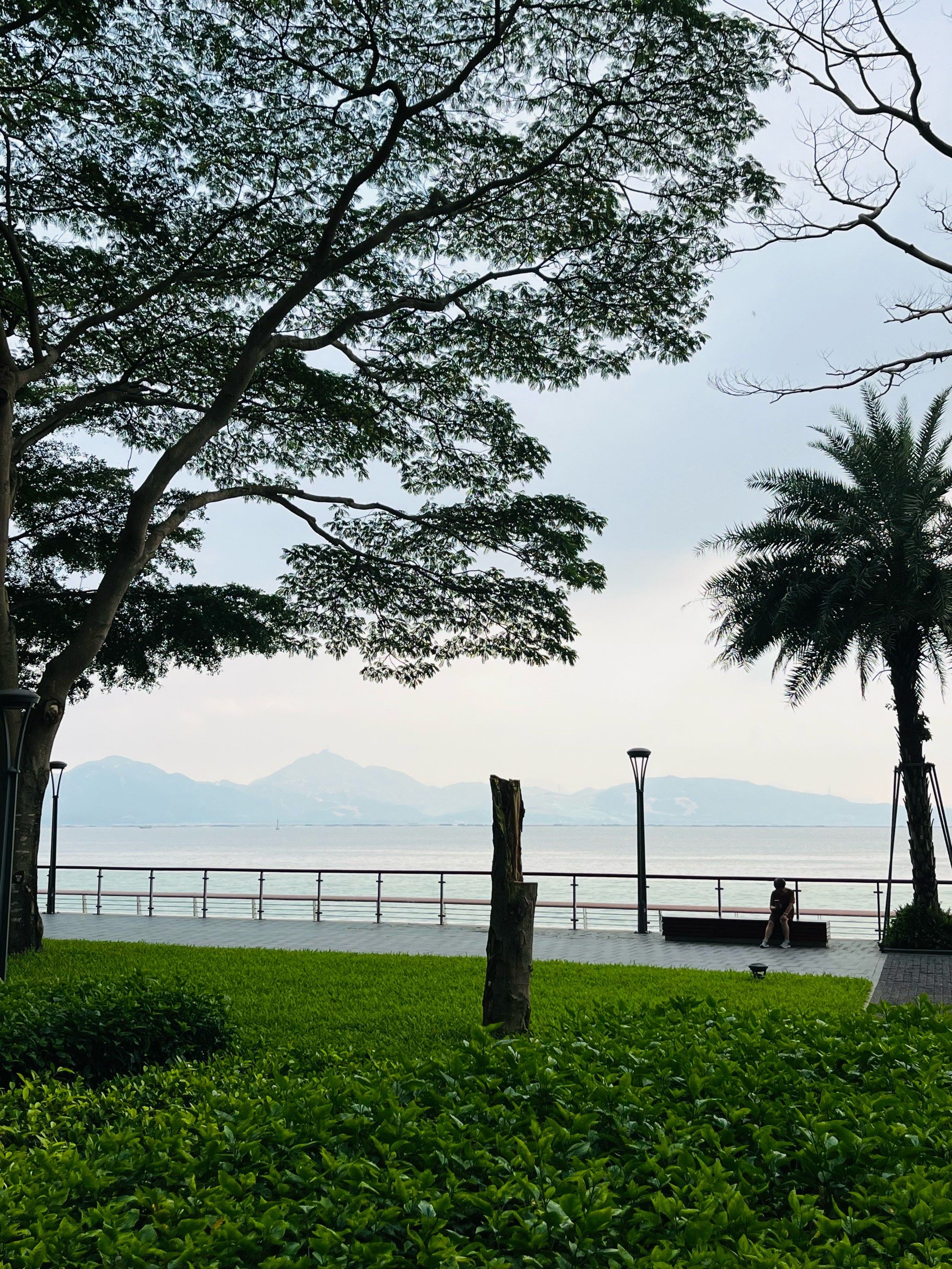 深圳去海边哪里最好玩(深圳去海边哪里最好玩的)