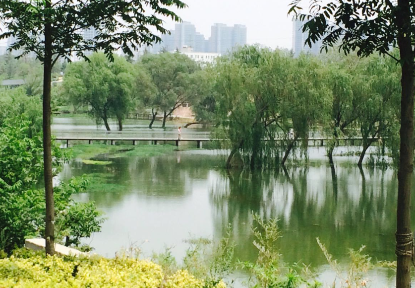 五月份郑州市哪里好玩(郑州51去哪里旅游好)