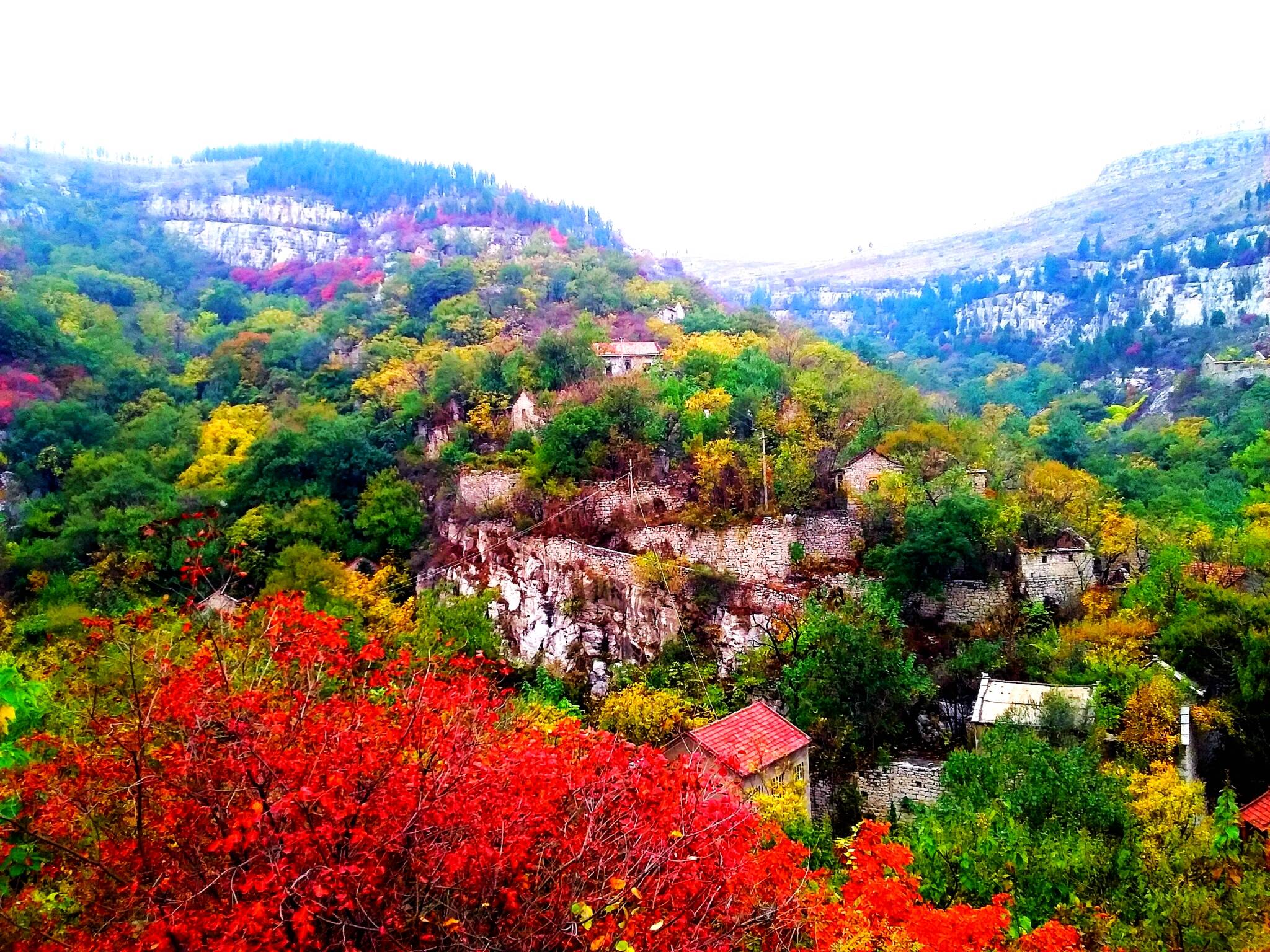 牛记庵有什么景点吗(牛记庵有什么景点吗多少钱)
