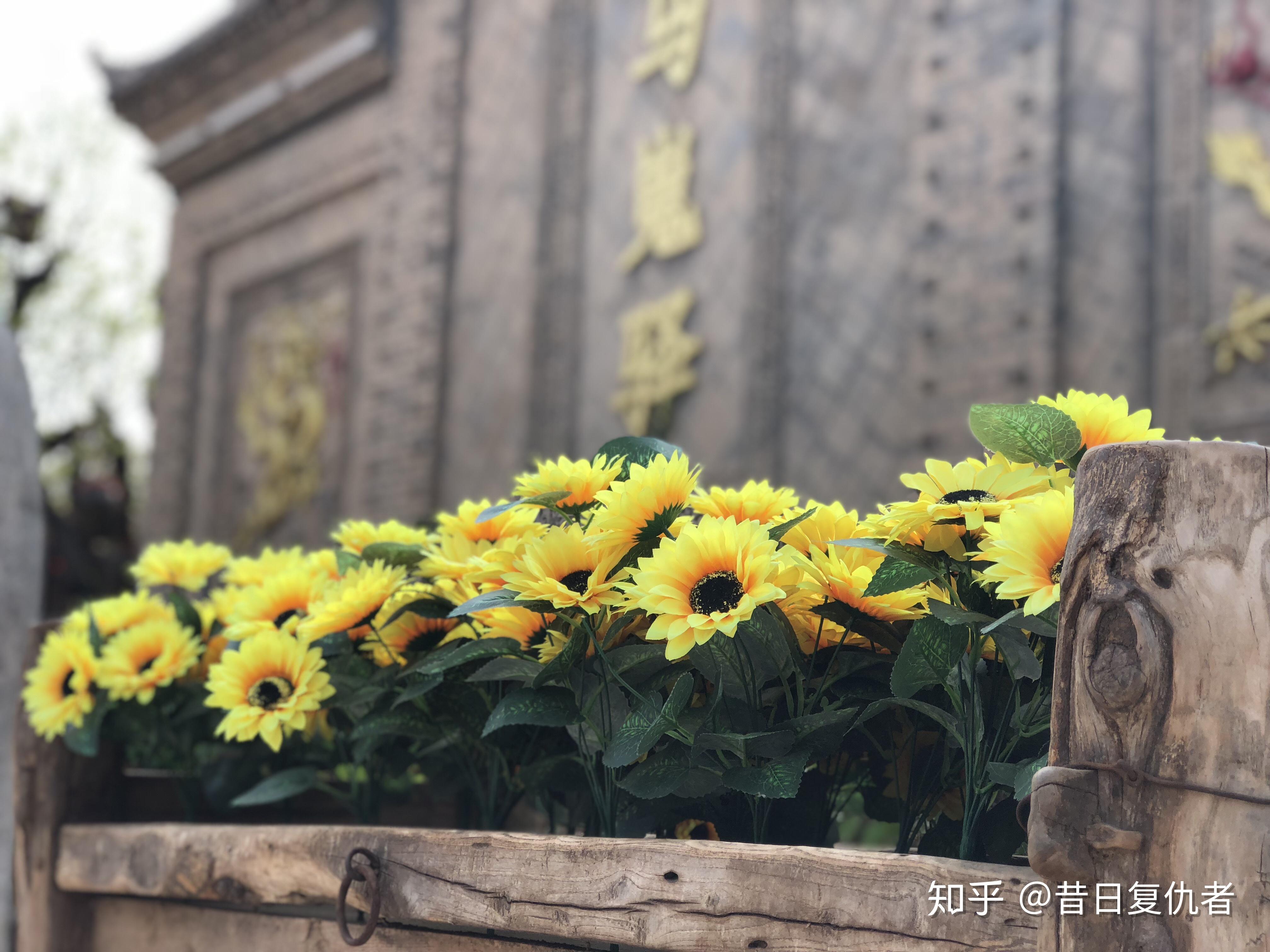 松江丹麦城有些什么景点(松江一日游最佳免费地点)