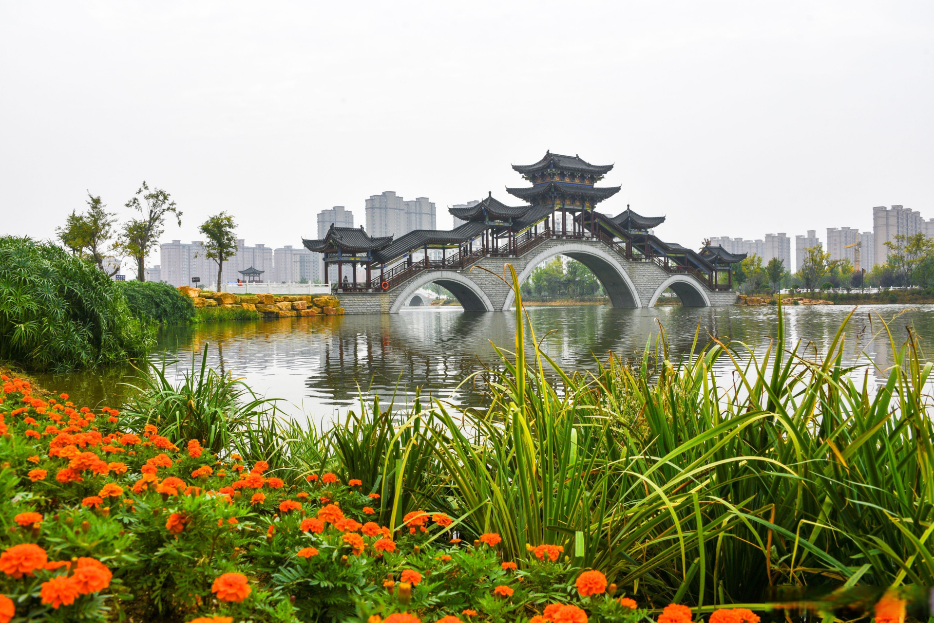 河南河南息县有什么景点(河南息县旅游必去景点)