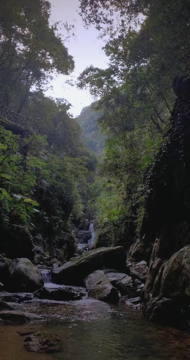 八乡山有什么景点(八乡山生态旅游风景区门票多少钱)