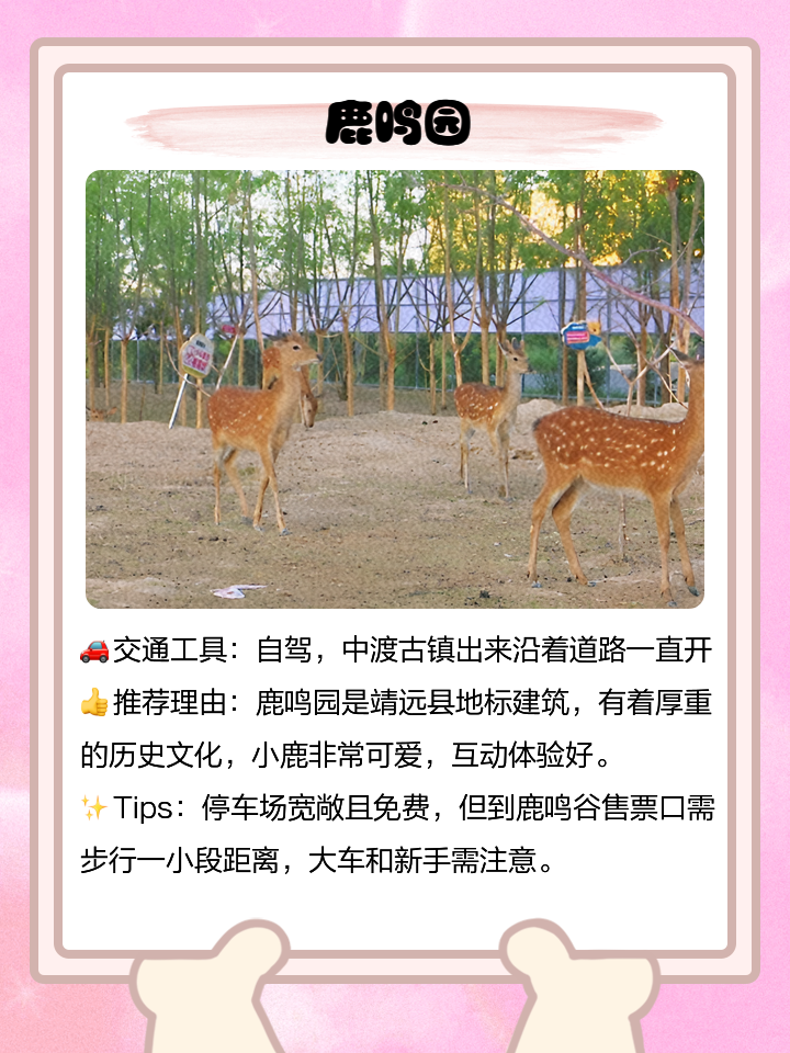 靖远有什么景点值得去玩(靖远县有什么旅游景点)