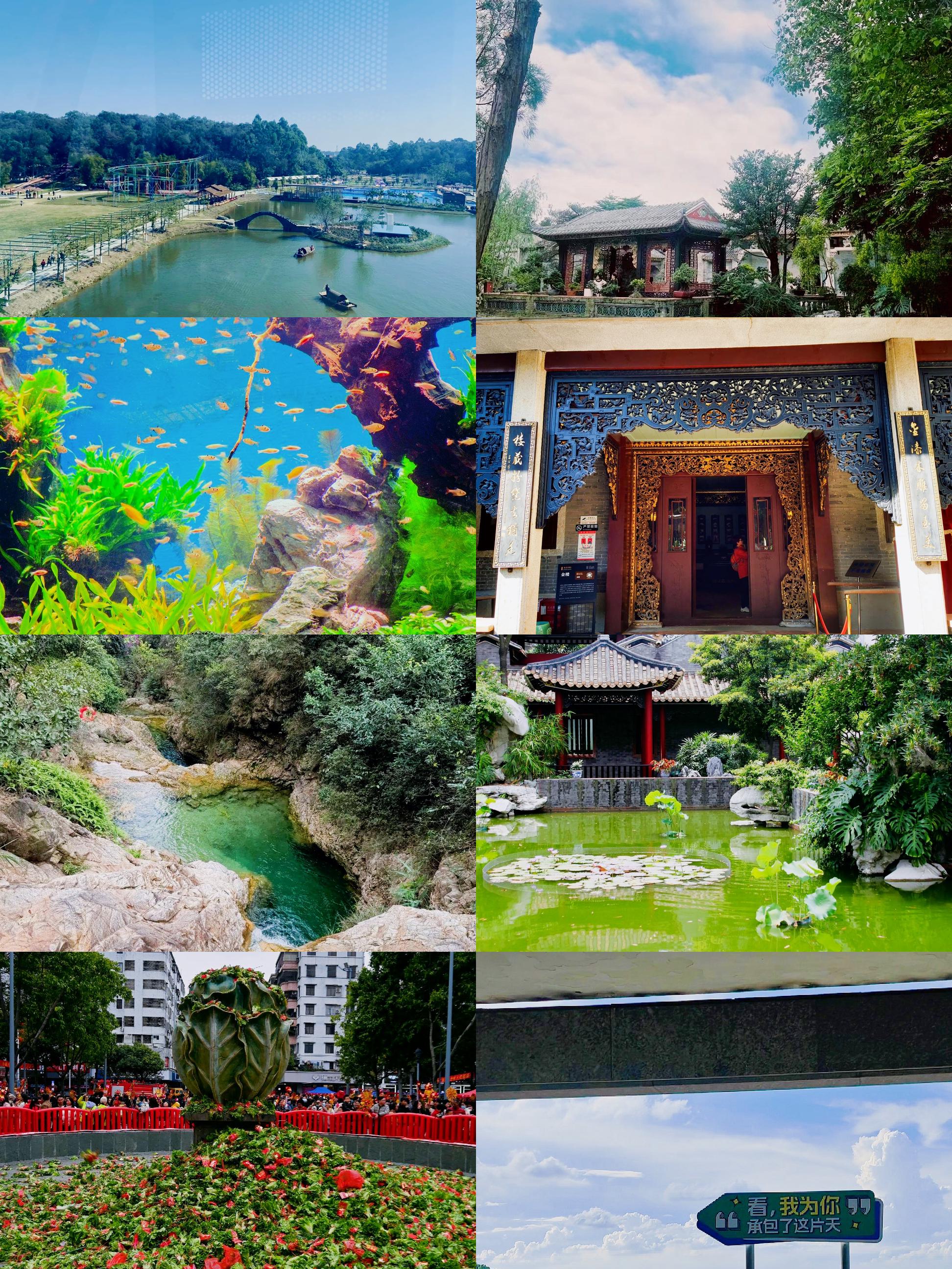 佛山有味道的景点吗(佛山有哪些有趣的地方)