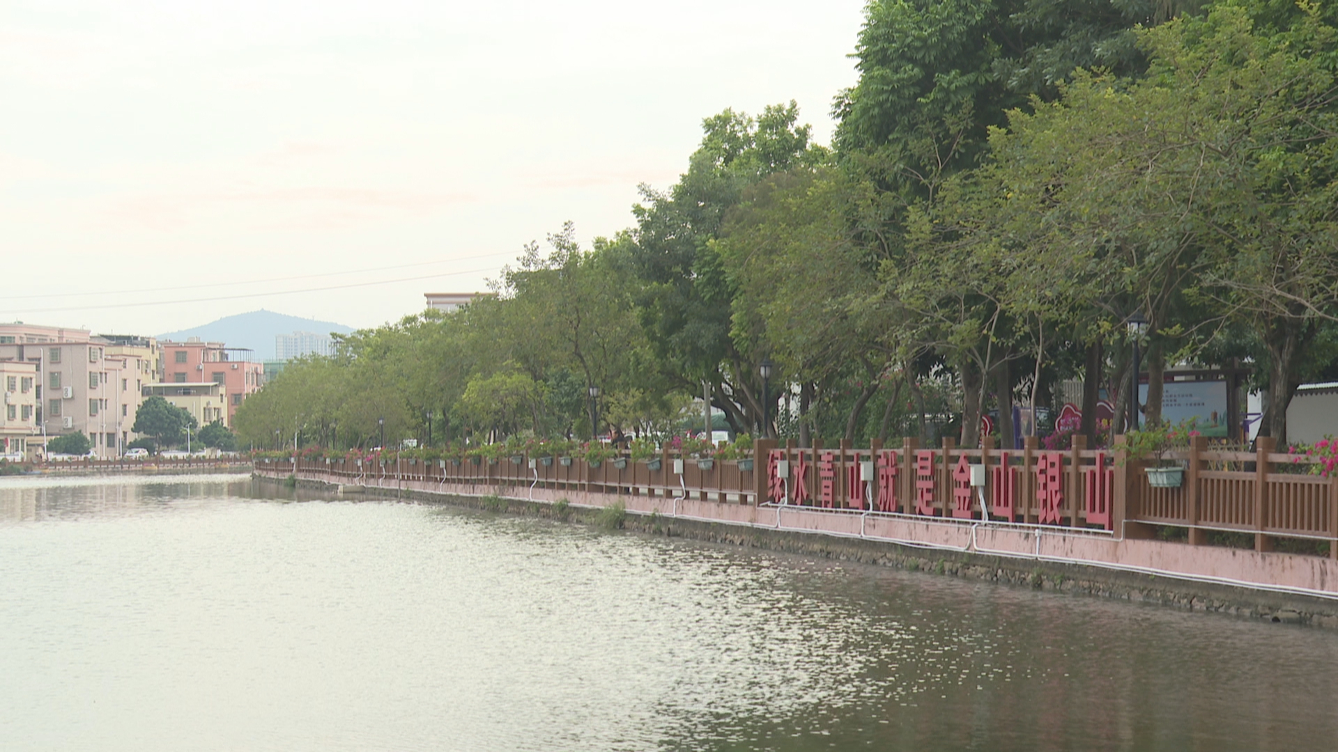 坦洲走什么景点好玩(坦洲有什么景点)